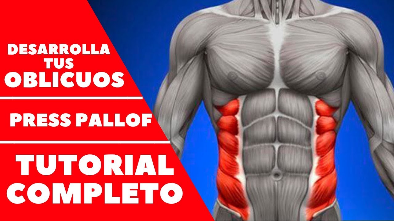 PRESS PALLOF (Pallof Press) con BANDA💥 Desarrolla tus OBLICUOS (Tutorial Completo)