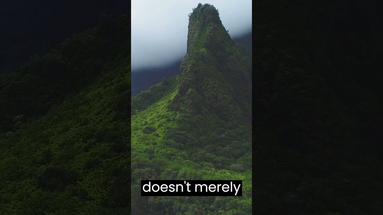 The Wettest Place on Earth