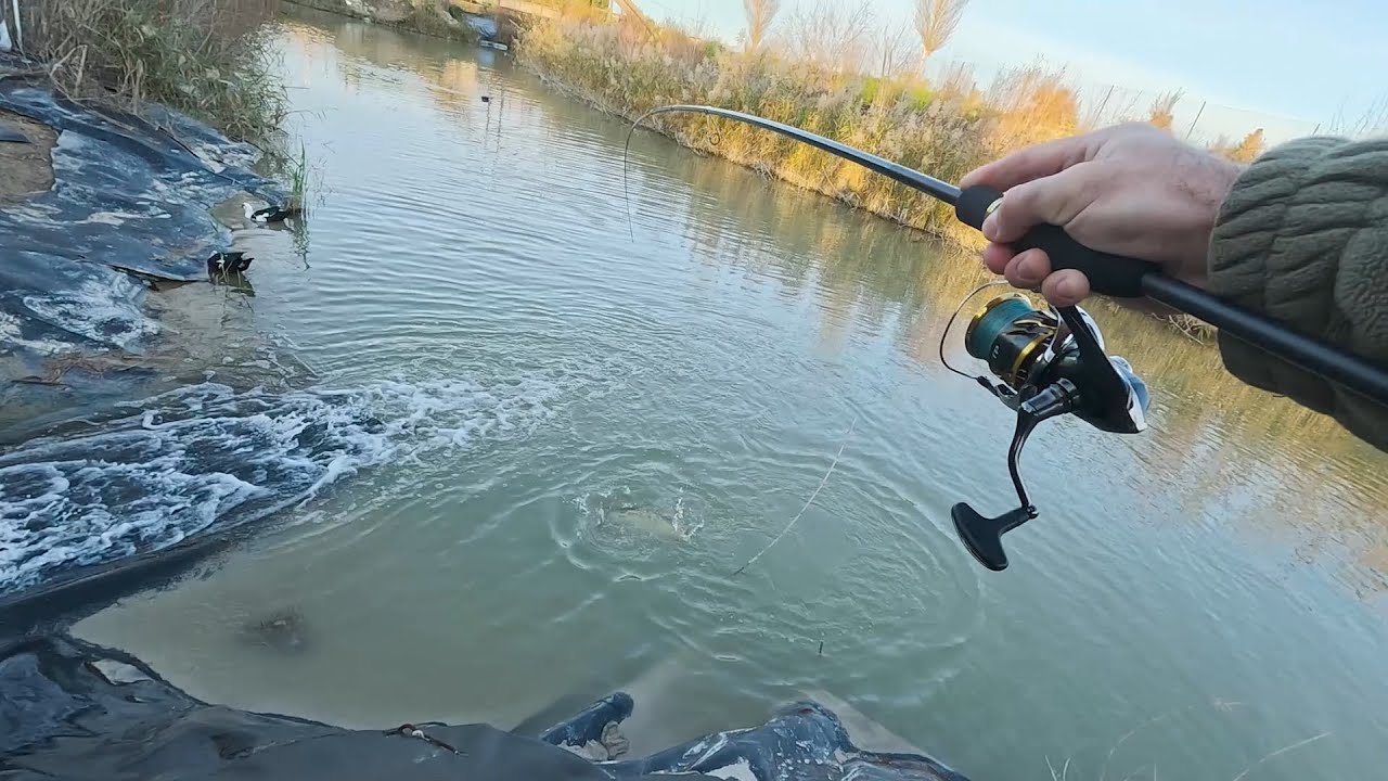 СУДАК на реке Segura!/LUCIOPERCA en el rio Segura! Разведка с воблерами на малой речке.