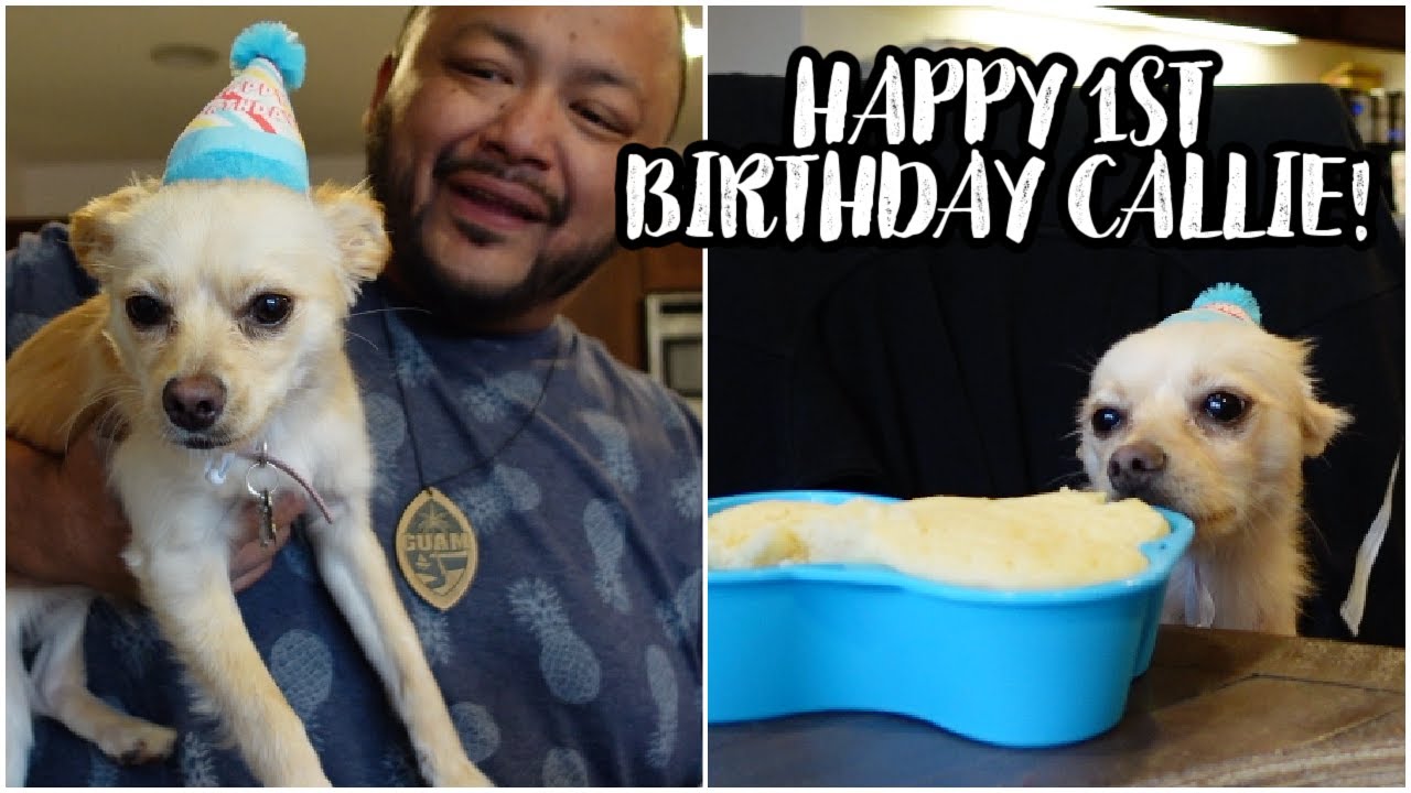 CALLIE'S 1ST BIRTHDAY, THE DONUT MAN & I'M GETTING INDUCED! - July 21-22, 2023