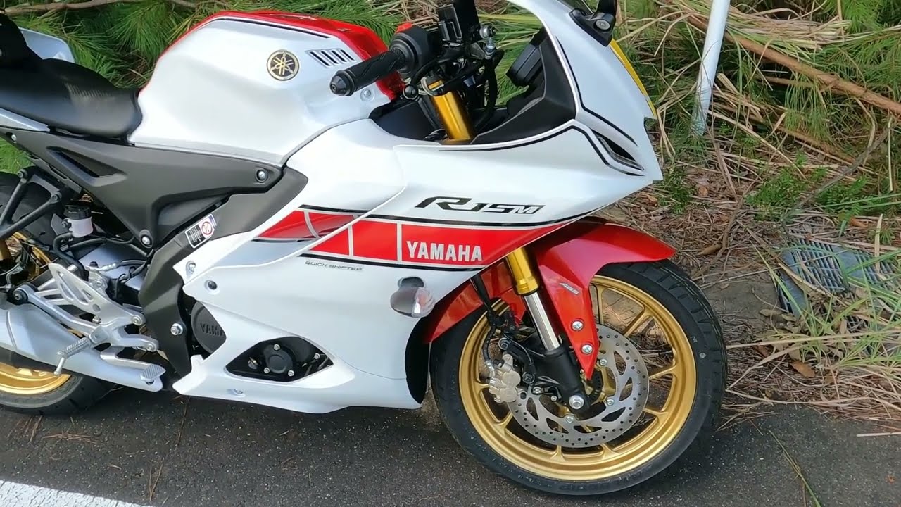 【車輌紹介】小排気量なのにしっかりなSS感【yzfr15mV4】
