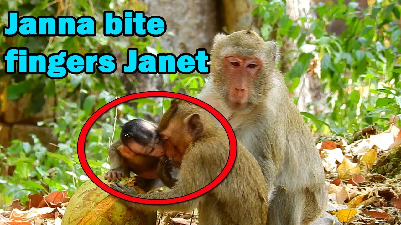 Because of you Janet get milk make me hungry so much| Baby Janna want to eat coconut with Janet