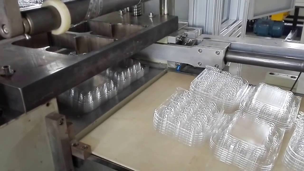 PP Automatic Plastic Thermoforming Machine for Egg Packing