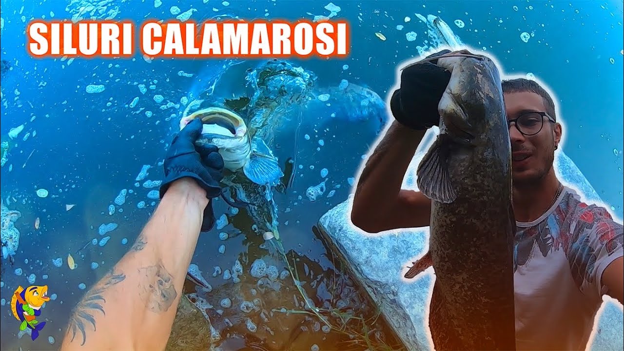 La DOPPIETTA!PESCA al SILURO da RIVA con BOA e CALAMARO!