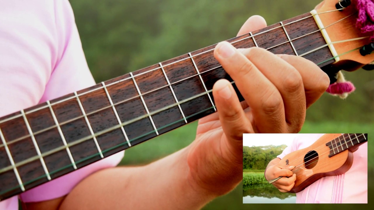 EL ZAPATEADO  - Son Jarocho + TABS + AUDIO TRACK + PARTITURA + TRACK ENSAYO