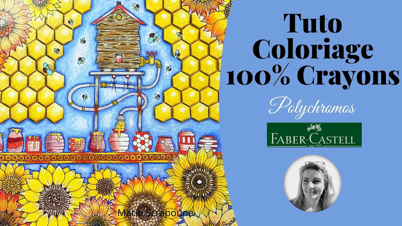 ASTUCE COLORIAGE POLYCHROMOS COMPLET 100% crayons couleurs Johanna Basford - La maison des secrets