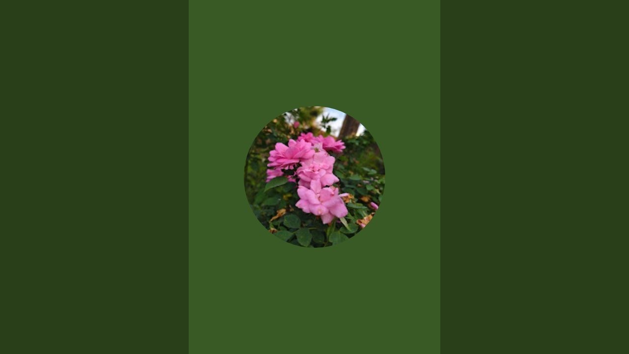 Beauty16 Nature Vibes is live!