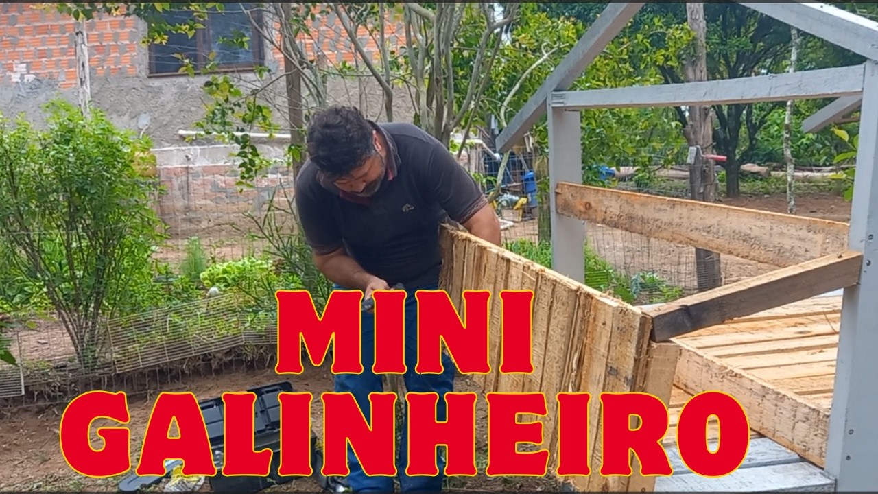 Precisamos ampliar o espaço, vem mais pintinhos!