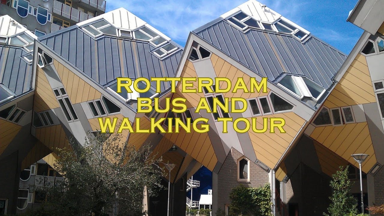 Rotterdam Hop on Hop off Bus and walking tour