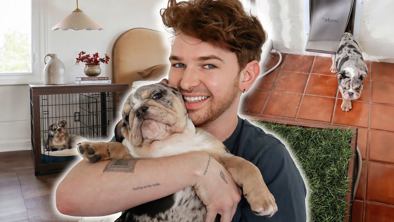 Puppy Proofing MY ENTIRE HOUSE 🐶 DIY Balcony Potty w/ Drains & Amazon Favorites!