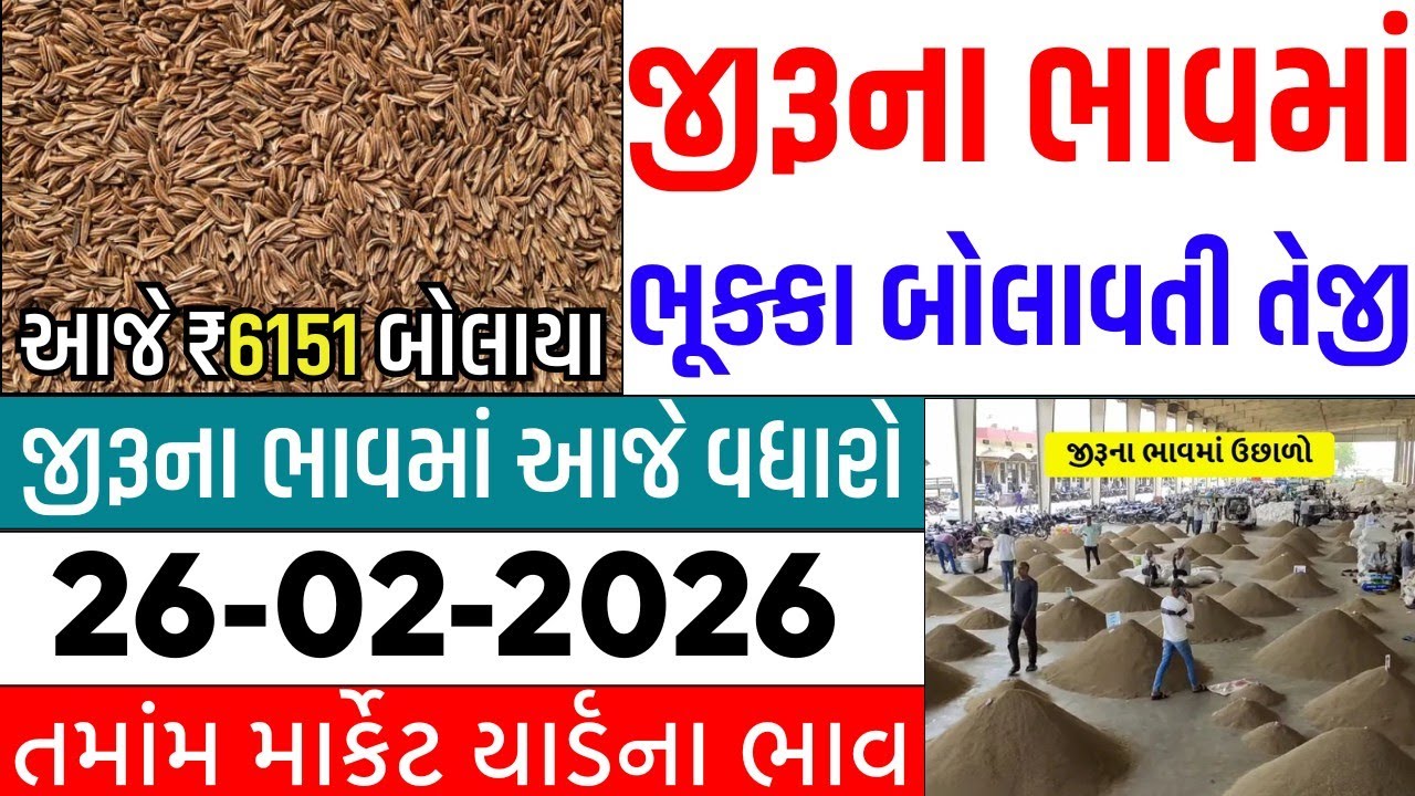 🔥જીરુંના ભાવમાં જોરદાર તેજી 🔥| 12-03-2026 | આજના જીરુંના ભાવ | જીરું નો ભાવ #jeeranabhav#bajarbhav