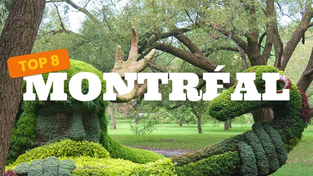 Top 8 des lieux &agrave; d&eacute;couvrir &agrave; Montr&eacute;al