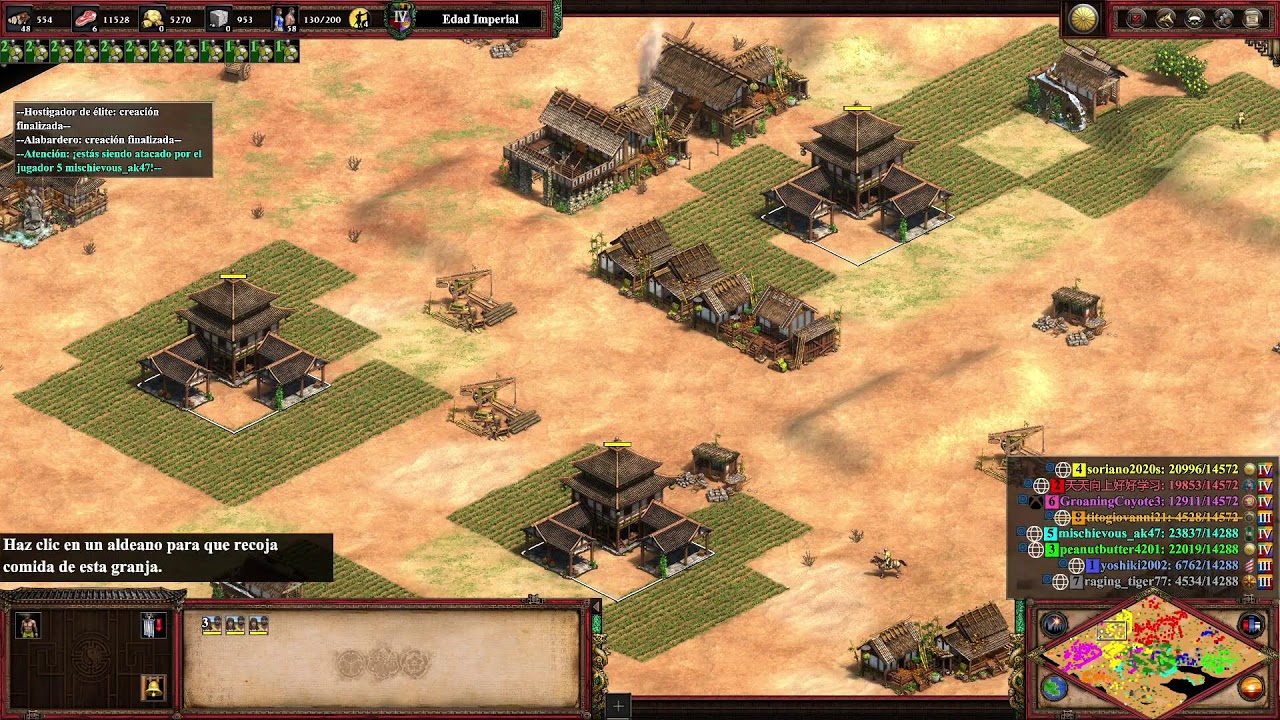 Age Of Empires Game