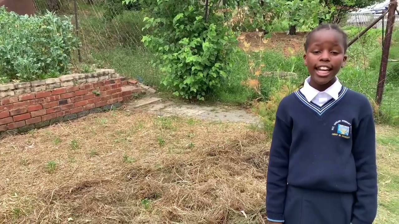 MC Weiler School - EduPlant Finalist 2023