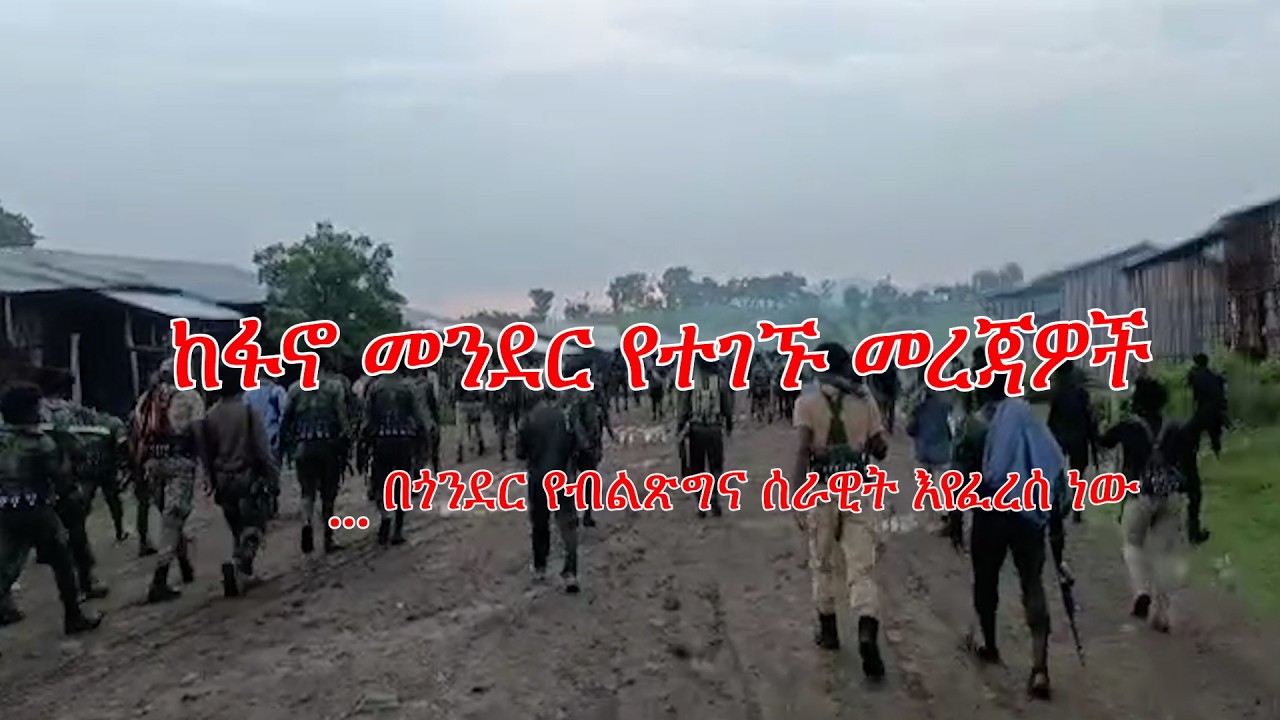Anchor Fano News Feb 26 ከፋኖ መንደር የተገኙ መረጃዎች...በጎንደር የብልጽግና ሰራዊት እየፈረሰ ነው