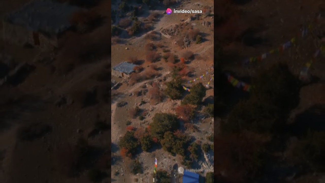 Evolution of Far Cry: From 2004 to 2025!