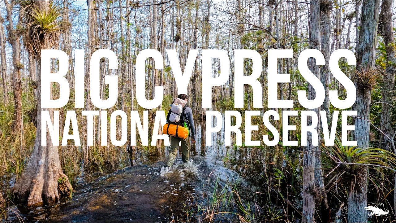 Solo Day Hike at Big Cypress National Preserve
