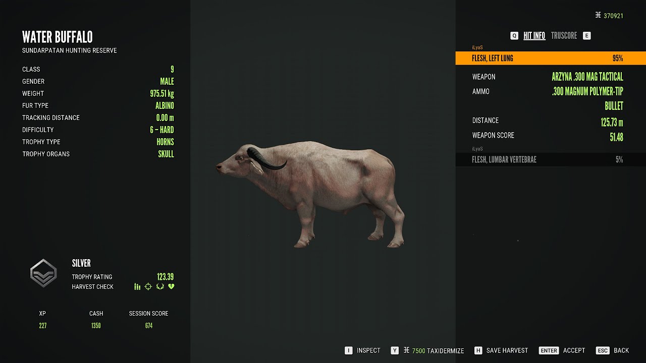 Water buffalo - 6/Albino - theHunter  Call of the Wild 2024 06 28