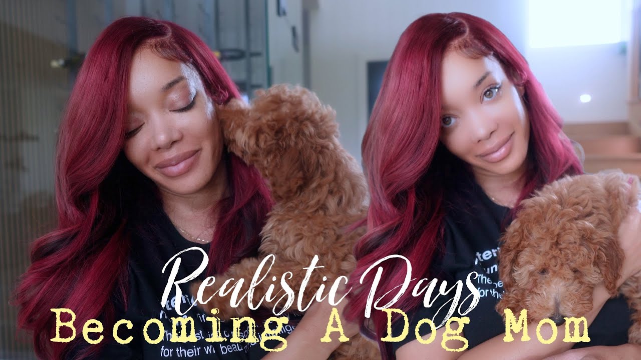 Becoming a Dog Mom | Realistic Days with My Mini Poodle & Home Updates