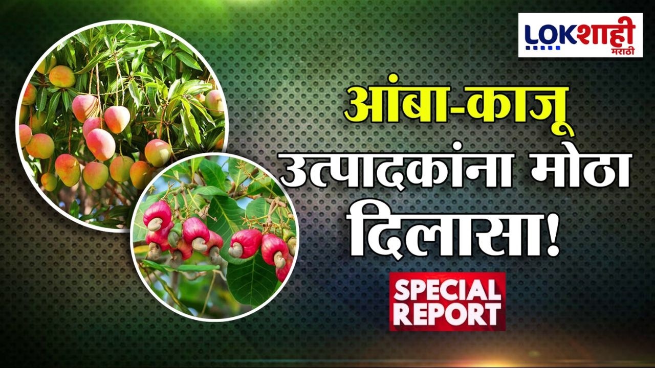 Lokshahi Marathi Special Report | आंबा-काजू उत्पादकांना मोठा दिलासा! अधिवेशनातच होणार मदतीची घोषणा?