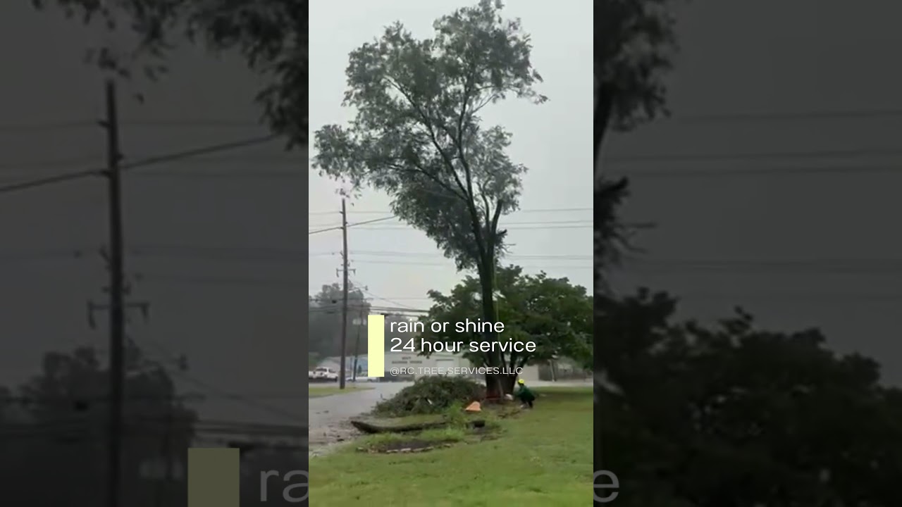 Rain or Shine - RC Tree Services, LLC comes through for their Huntsville AL customers every time!
