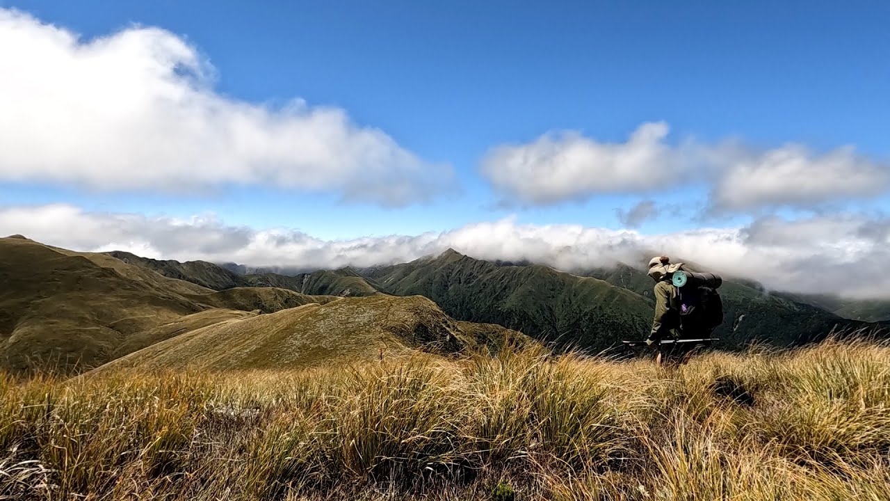 Ruahine Forest Park Tramp - Rangiwahia & Triangle Huts