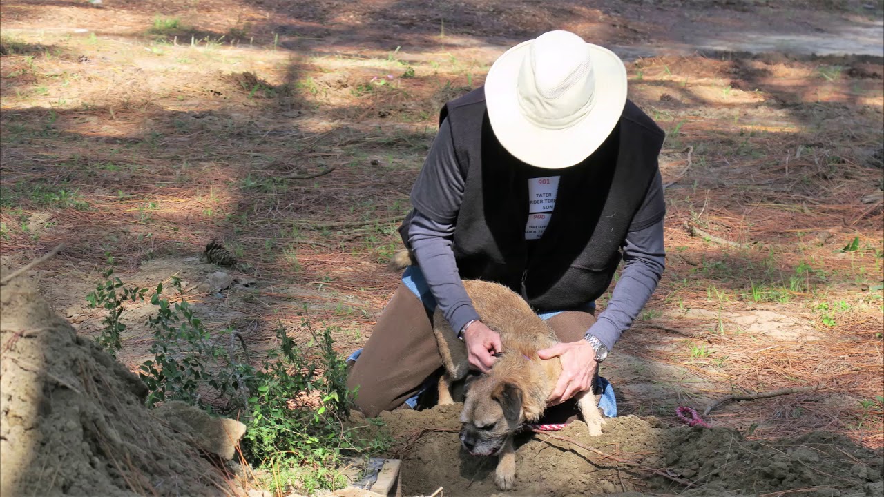 Alabama Earthdog Test