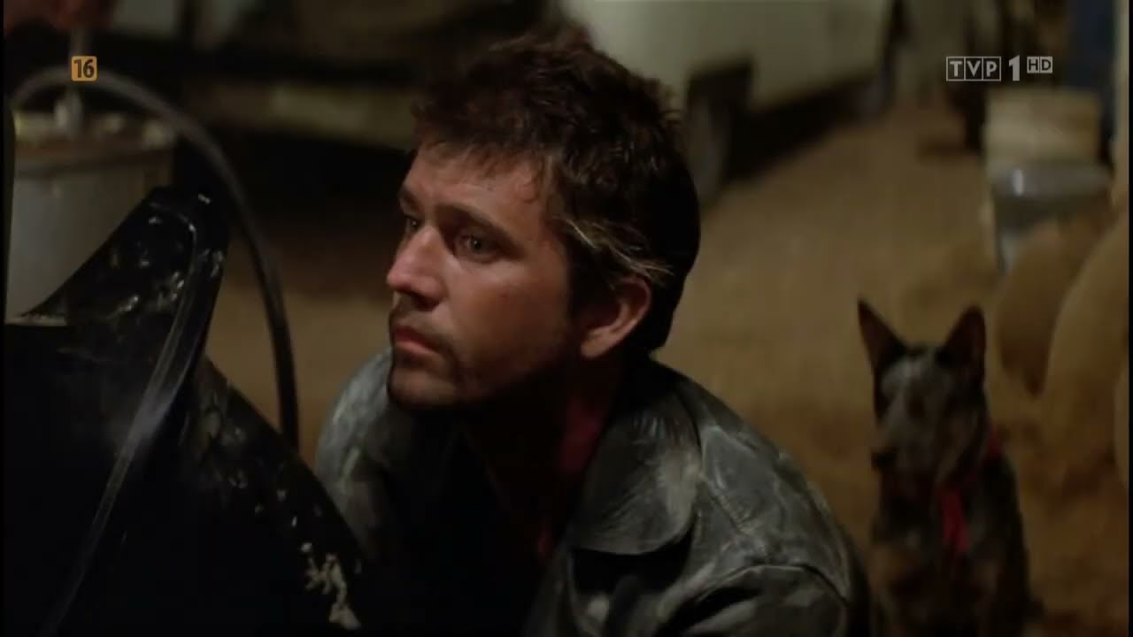 Za krew weź krew Universe fanvid