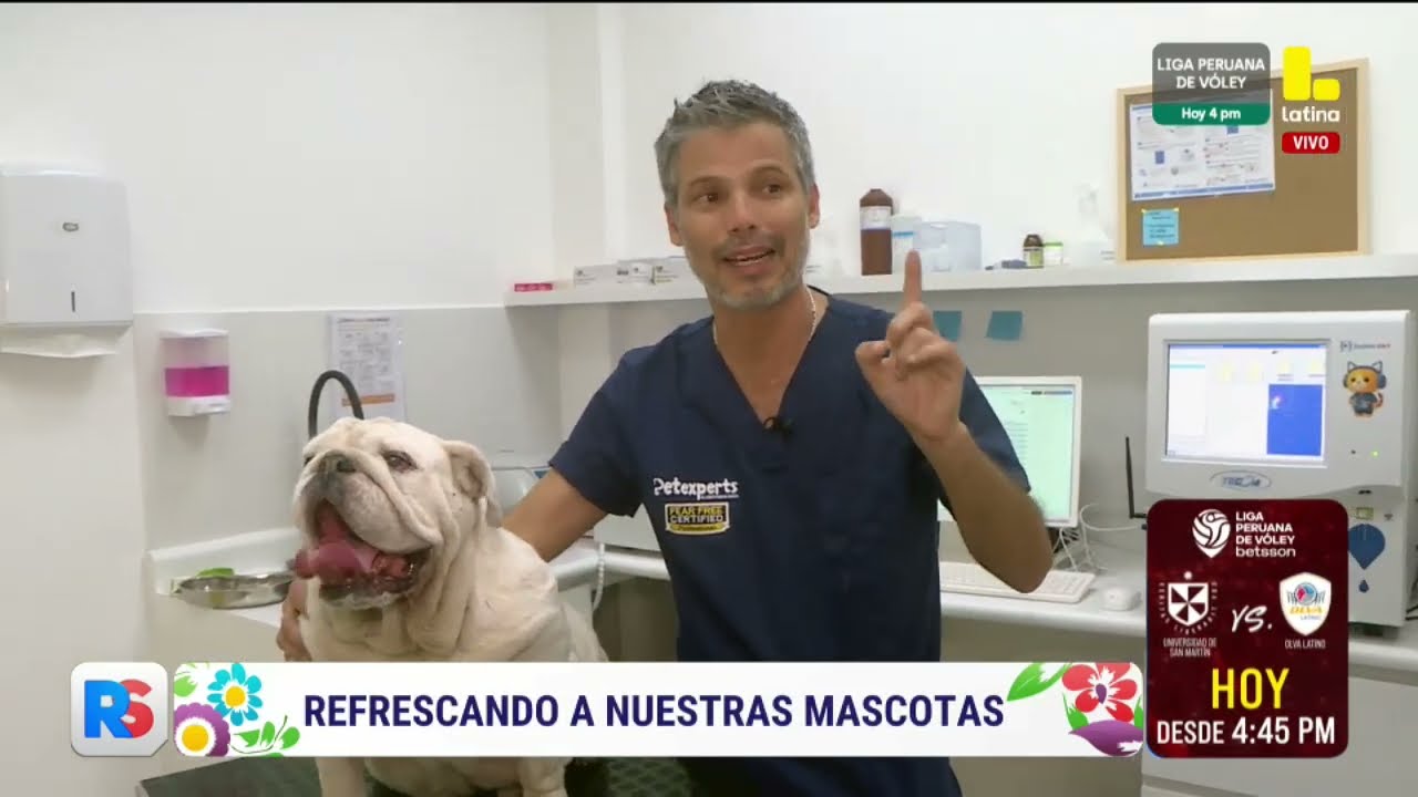 RS | Refrescando a nuestras mascotas