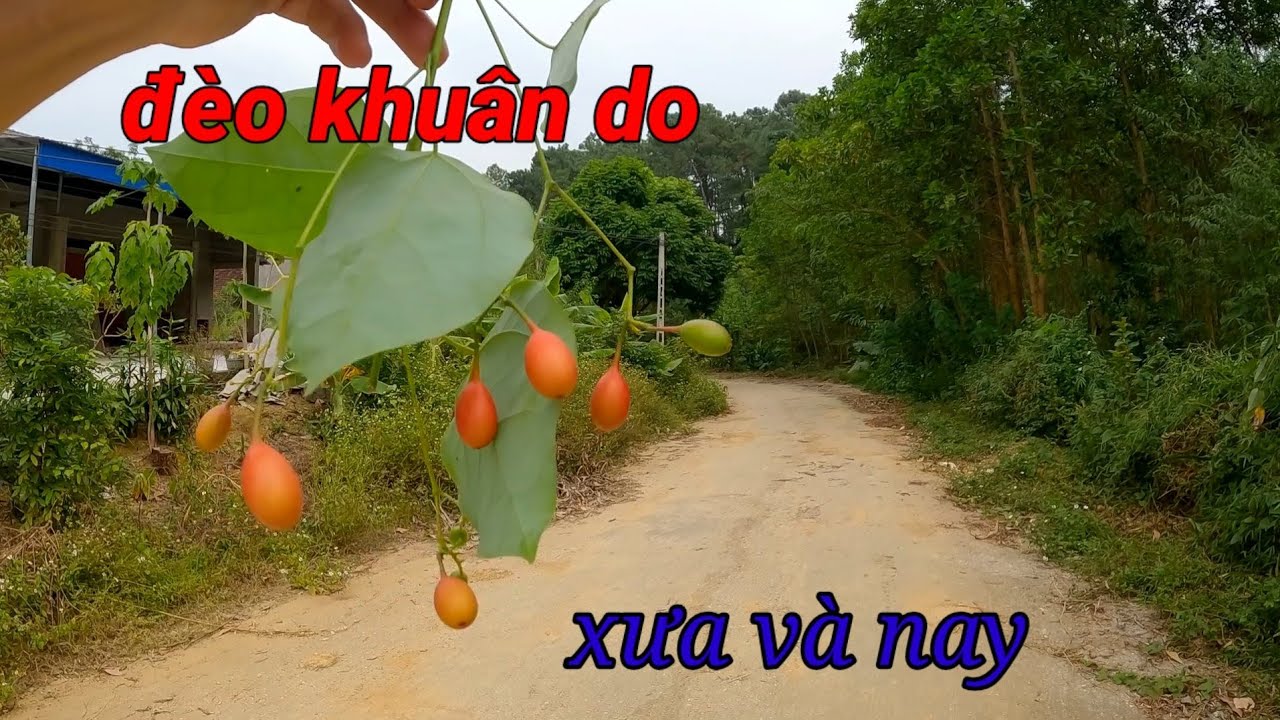 tuyên quang 2km đèo khuân do cũ bỏ hoang phế 10 năm giờ như thế nào