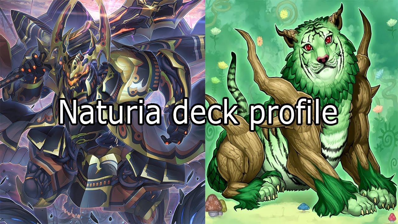 NATURIA DECK PROFILE ABRIL