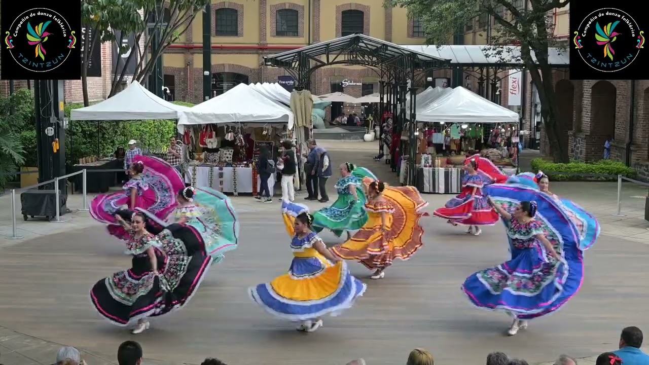 Vuela Paloma