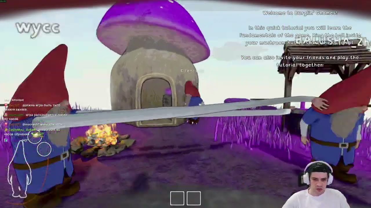 Первый взгляд на Burglin' Gnomes