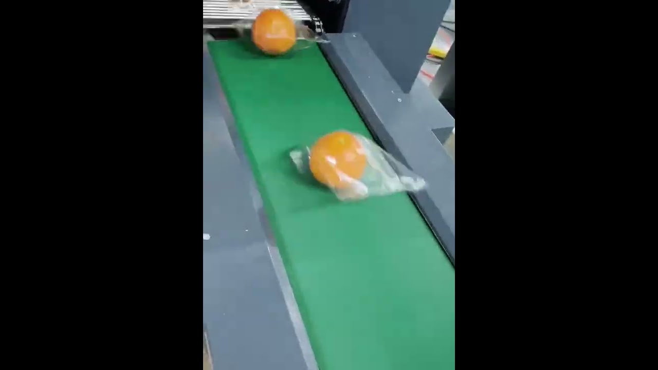 RJW350 pillow packing machine