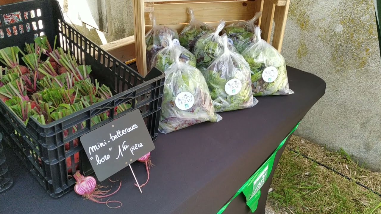 March&eacute; des ravitailleurs &agrave; Onzain le 6 juin 2021