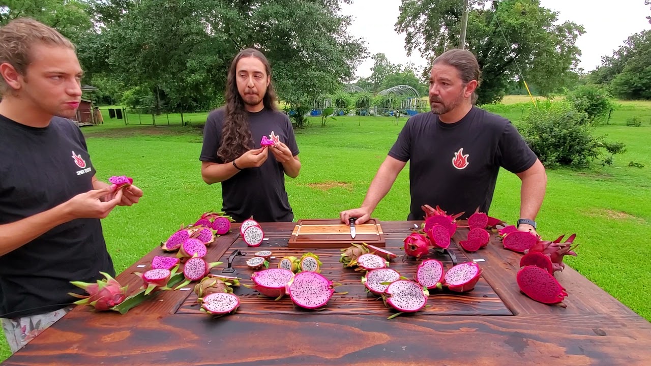 2021 Taste Test of 19 varieties of Dragon Fruit