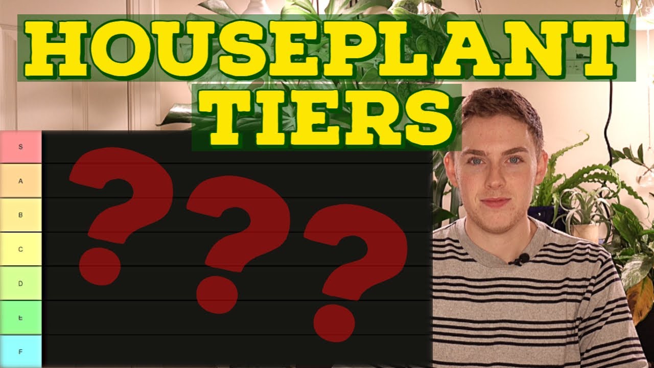RANKING HOUSEPLANT GENERA