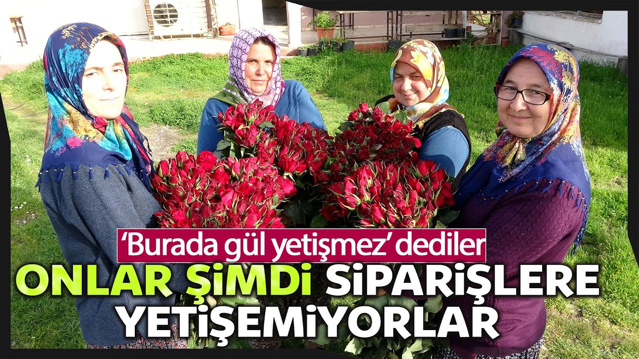 'Gül Yetişmez' Denilen Köye Gül Serası Kurdular, Siparişlere Yetişemiyorlar