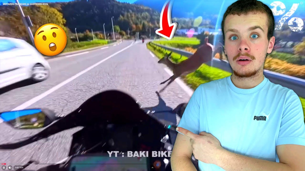 Il se prend une biche &agrave; moto ! (R&eacute;act 100% motos)