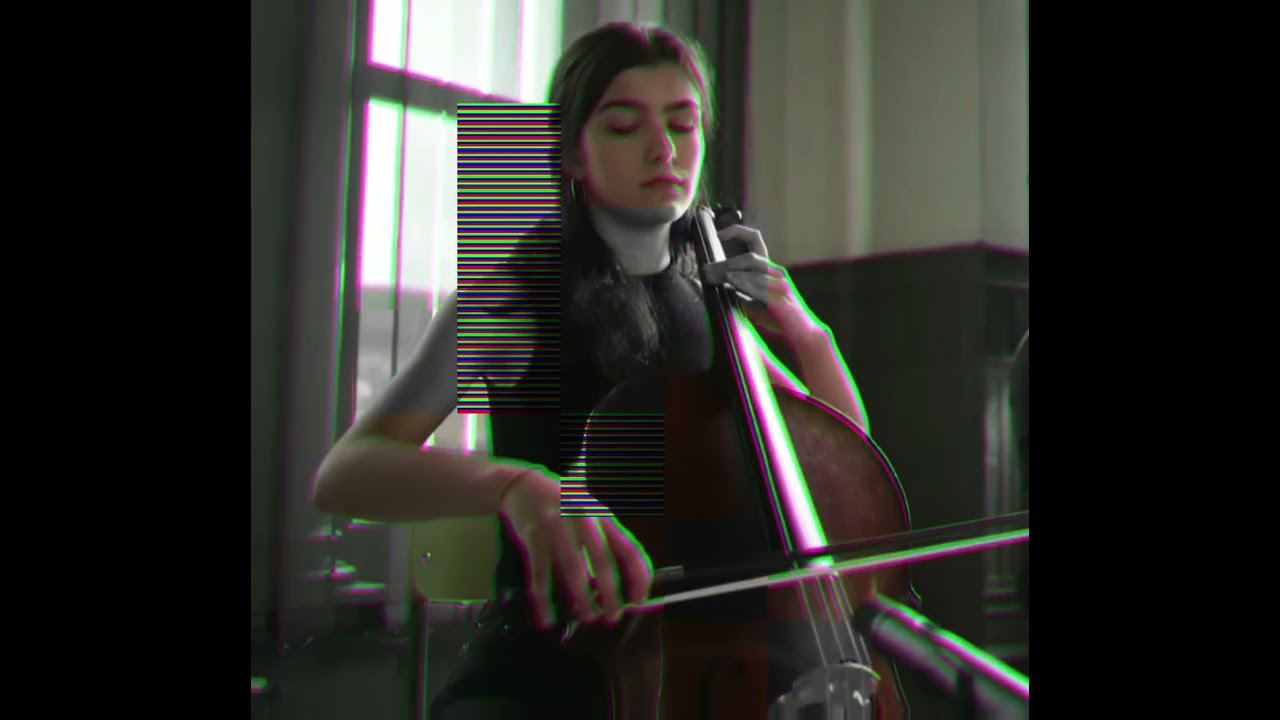 🍯🎙