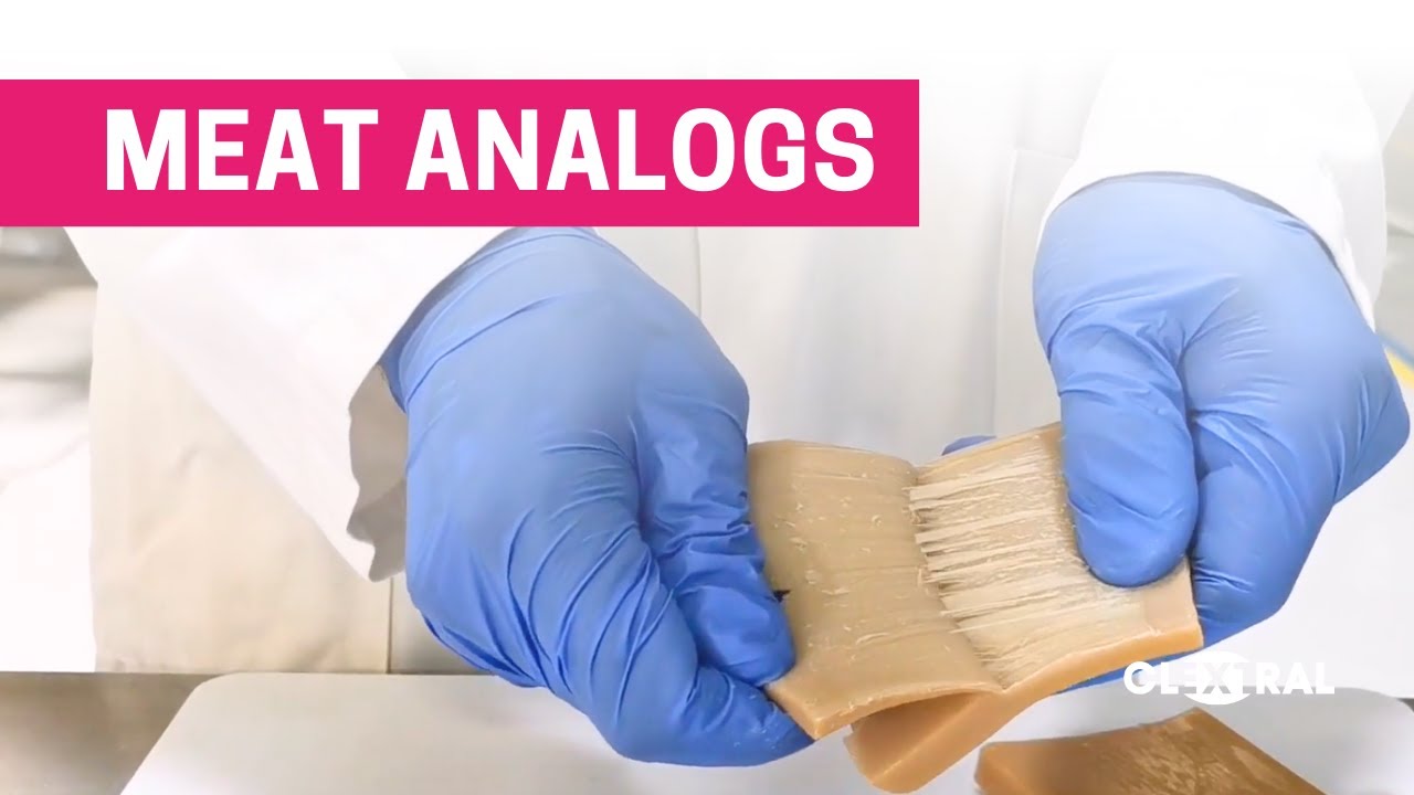 Plant-Based Protein Fibration : Twin-Screw Extrusion for Meat Analogs