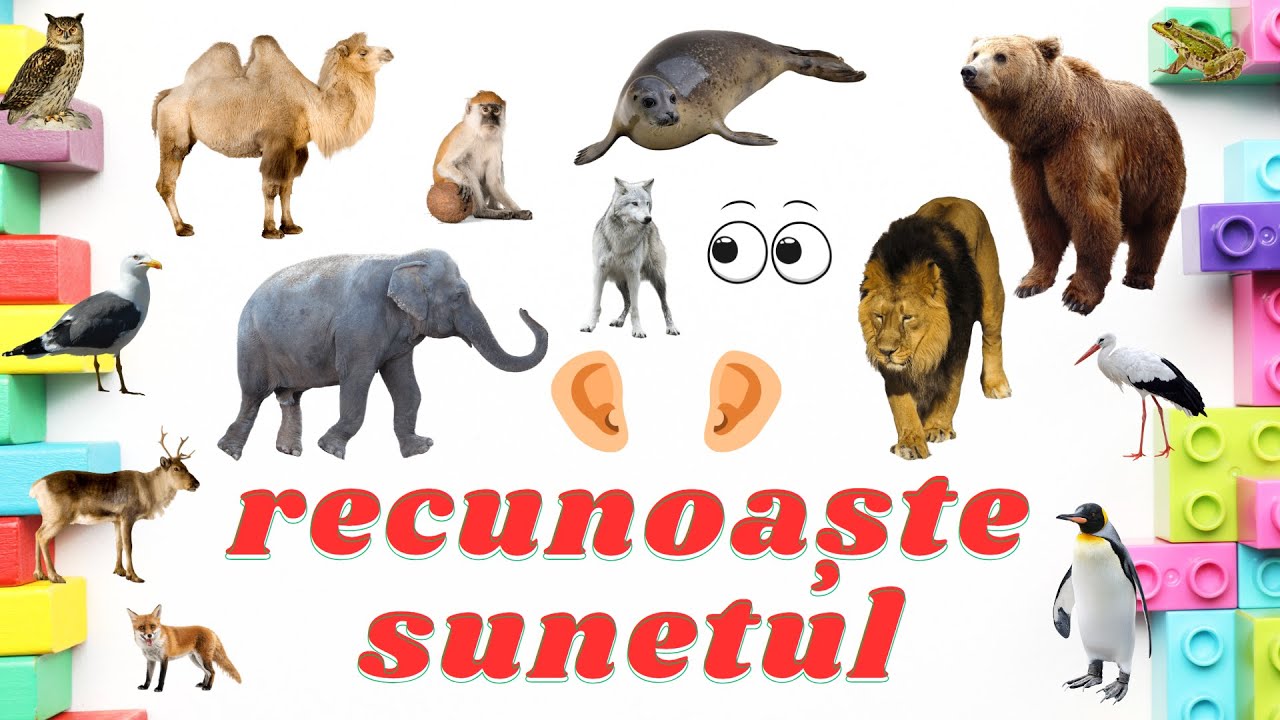 Recunoaste sunetul animalelor - Joaca acasa sau la gradinita!
