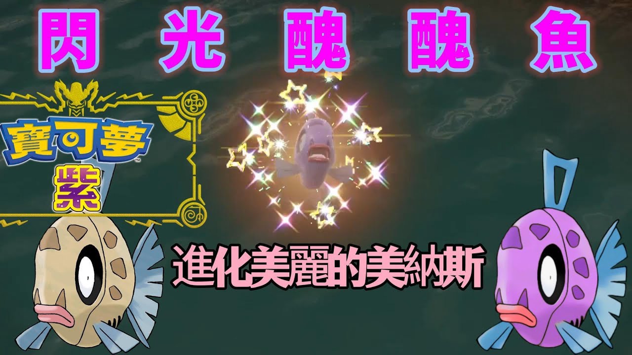 寶可夢朱紫 - DLC北上鄉閃光醜醜魚