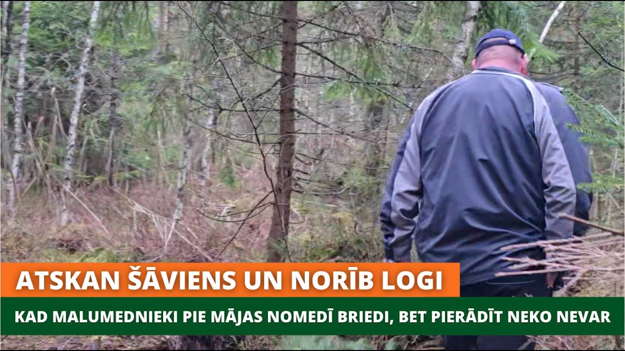Atskan šāviens un norīb logi. Kad malumednieki pie mājas nomedī briedi, bet pierādīt neko nevar