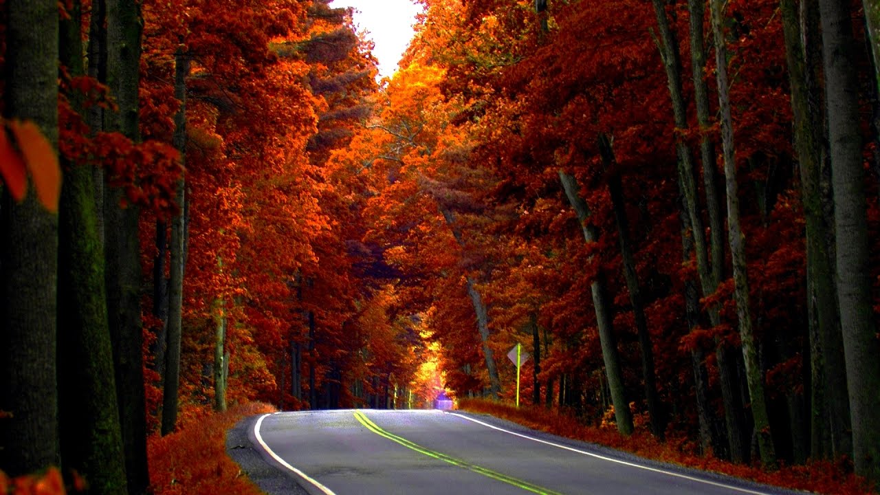Gopro POV Autumn drive | Autofahren durch Landesstrasse | Kyritz to Wittstock | Germany