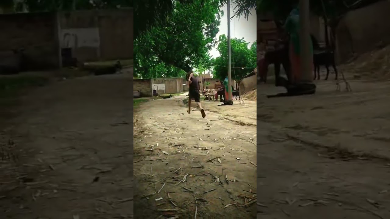 #vialandtemapark