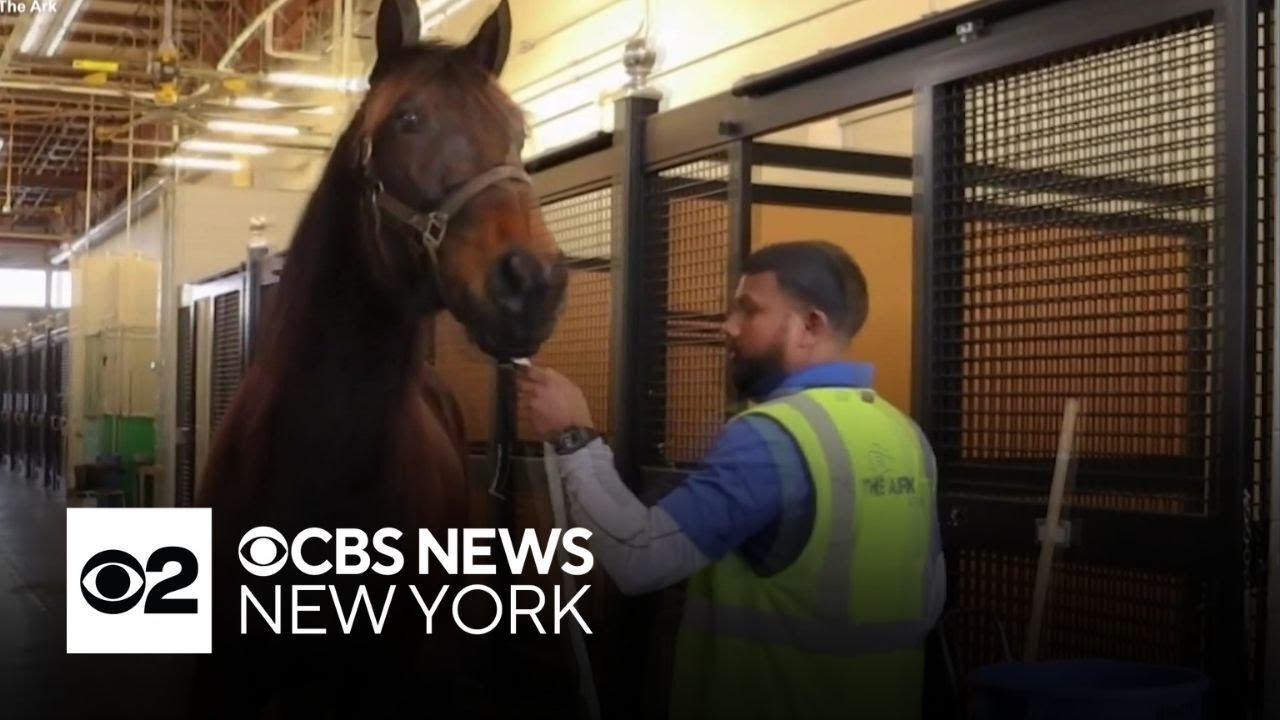 Behind the scenes of JFK Airport's animal transportation hub