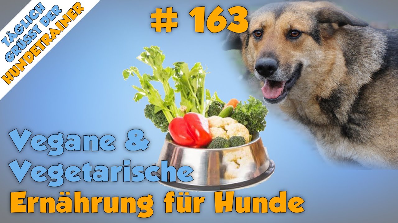 TGH 163 : vegetarische und vegane Ernährung für Hunde - Hundeschule Stadtfelle