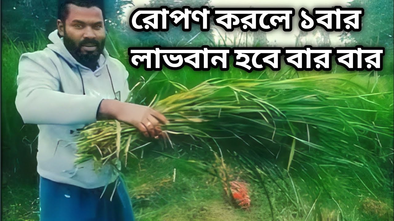 রোপণ একবার লাভবান হবেন বার বার 