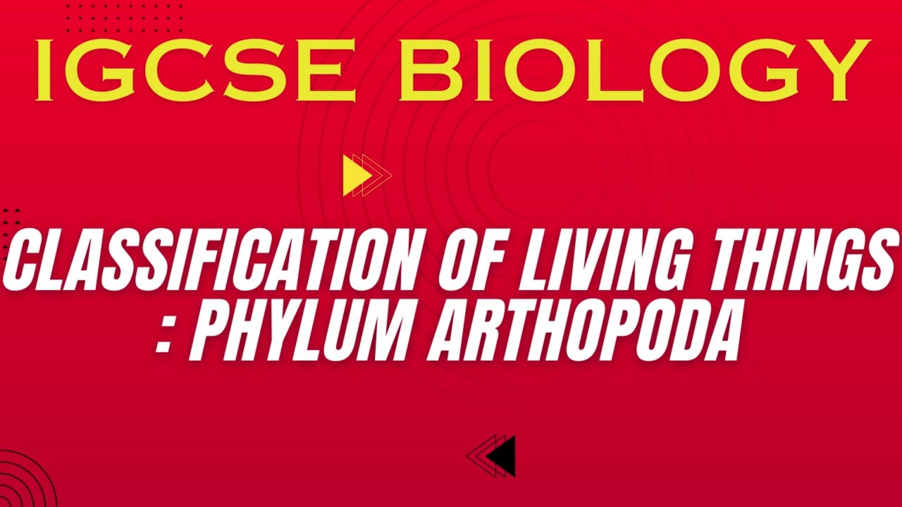 Phylum Arthropoda in One Shot ⚡ | Classification of living things | Must-Know IGCSE Biology Topic